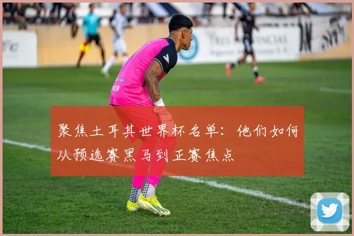聚焦土耳其世界杯名单:他们如何从预选赛黑马到正赛焦点