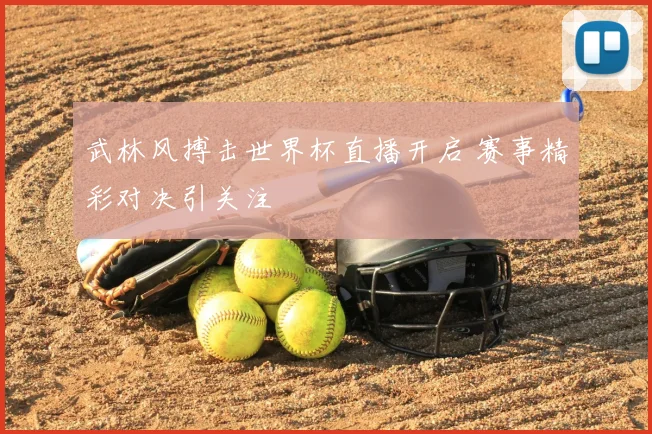 武林风搏击世界杯直播开启 赛事精彩对决引关注