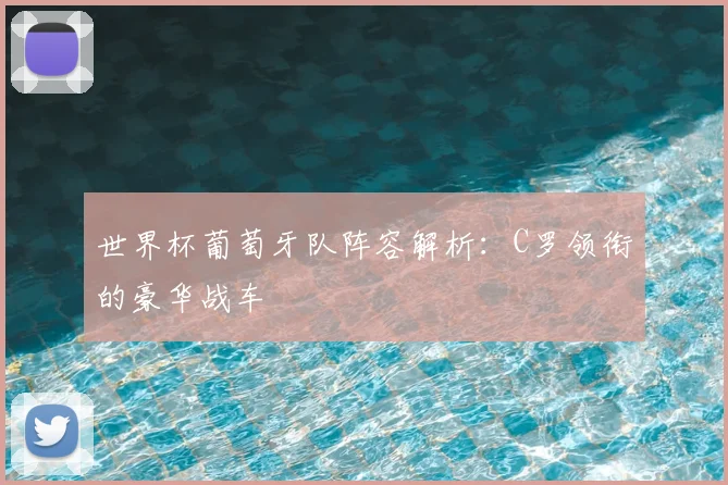 世界杯葡萄牙队阵容解析：C罗领衔的豪华战车