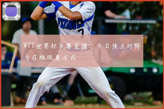 WTT世界杯决赛直播：今日焦点对阵与在线观看方式