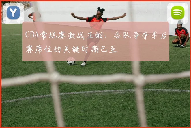 CBA常规赛激战正酣,各队争夺季后赛席位的关键时期已至