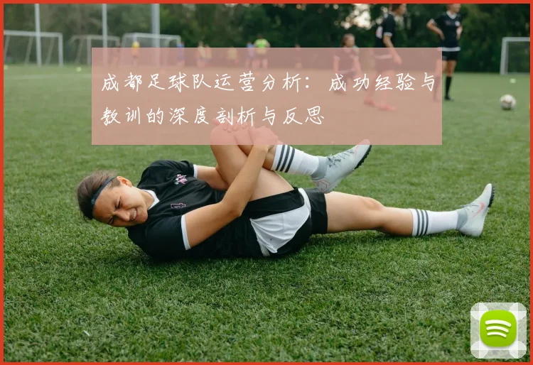 成都足球队运营分析:成功经验与教训的深度剖析与反思