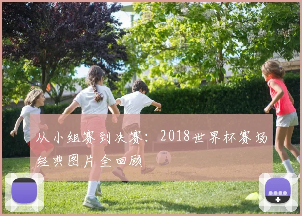 从小组赛到决赛：2018世界杯赛场经典图片全回顾