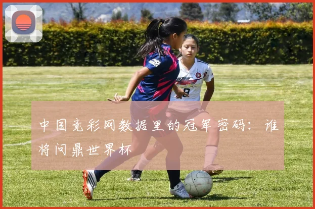 中国竞彩网数据里的冠军密码:谁将问鼎世界杯