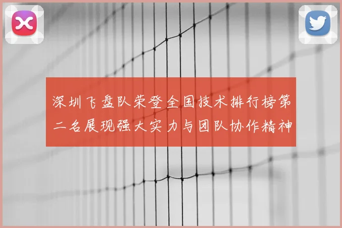 深圳飞盘队荣登全国技术排行榜第二名展现强大实力与团队协作精神